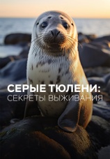 Постер к фильму Серые тюлени, секреты выживания 2017