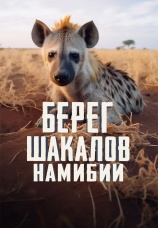 Постер к фильму Берег шакалов Намибии 2016