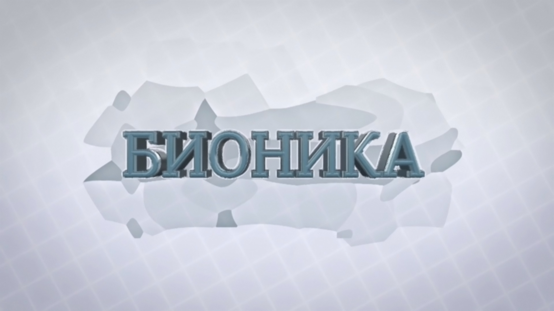 Бионика. Насекомые