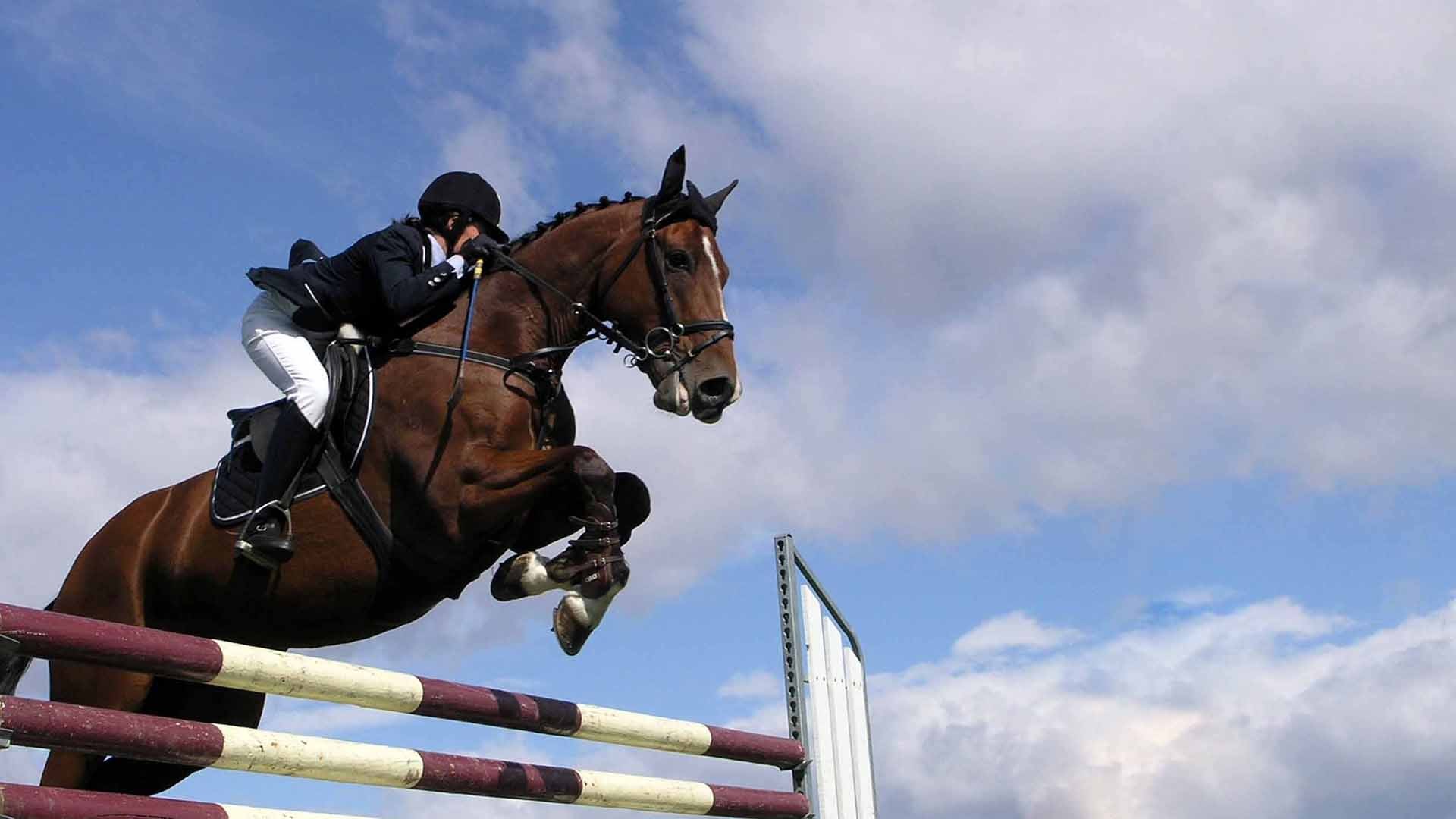 Конный спорт. Скачки. Трансляция из Грозного