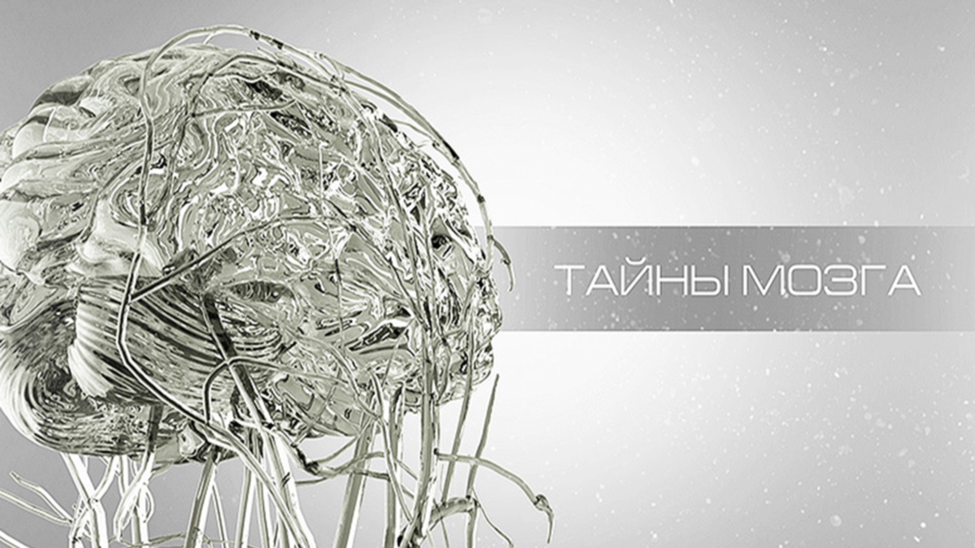 Тайны мозга. Механизм эмоций