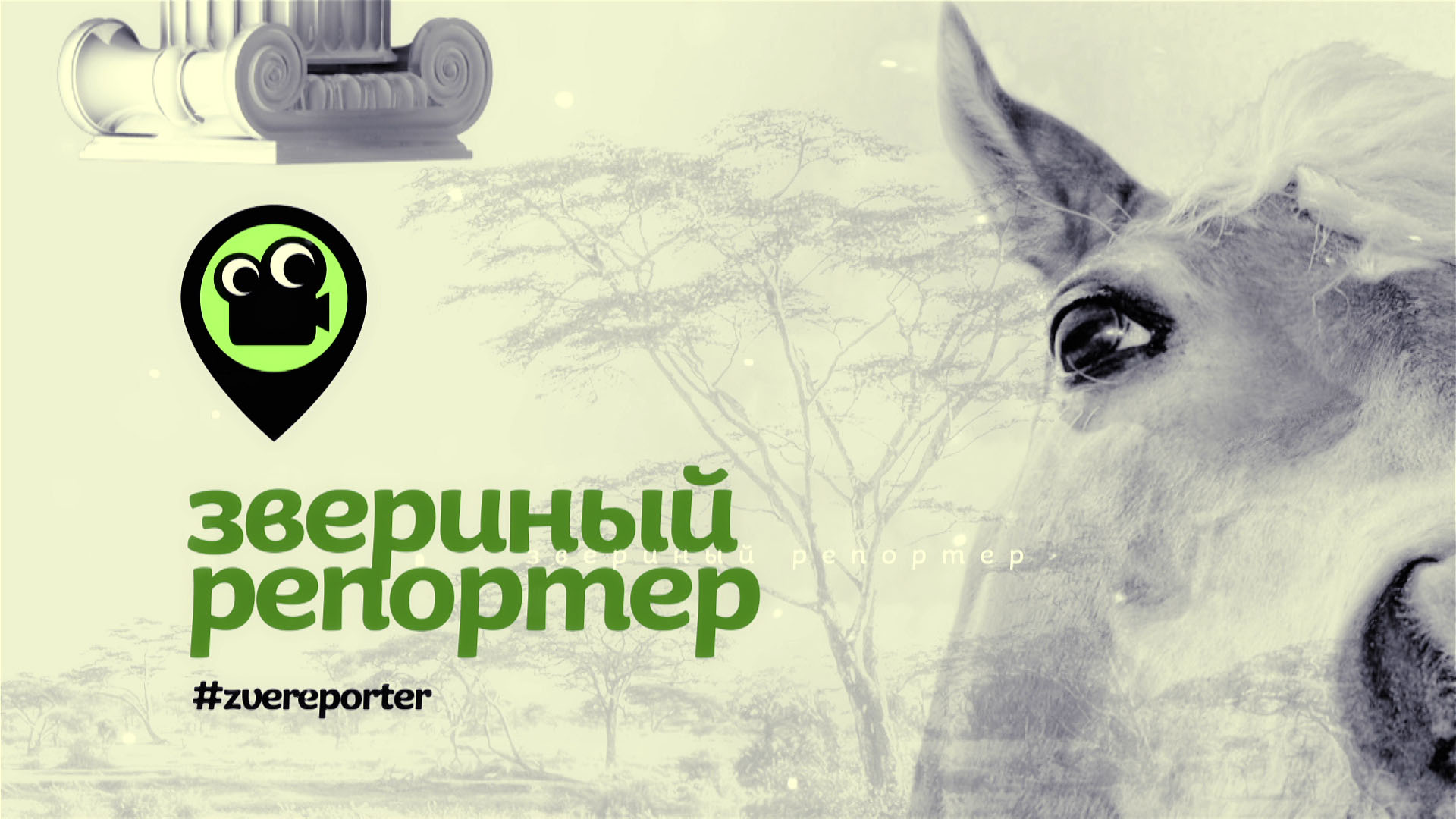 Звериный репортёр