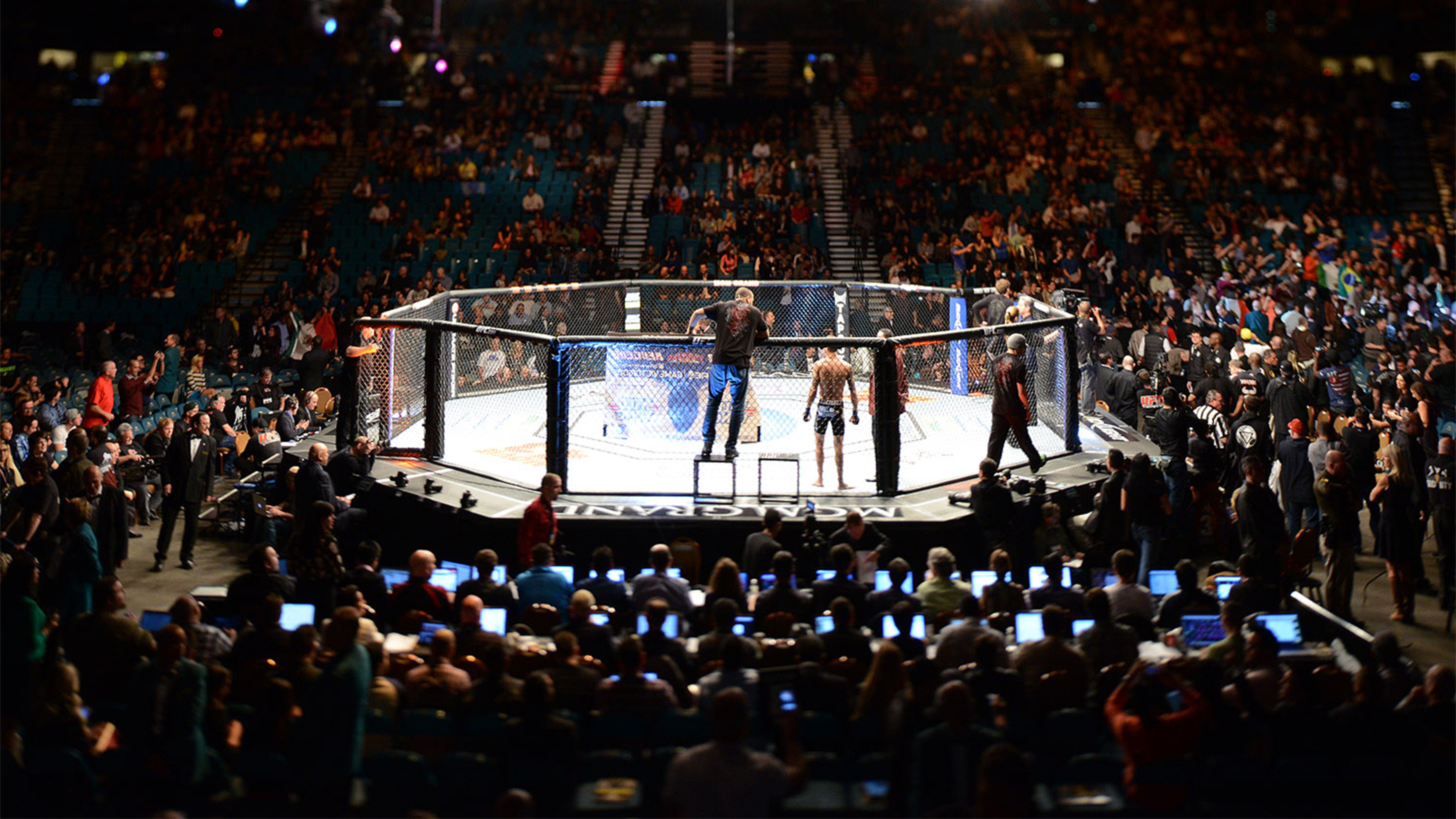 Смешанные единоборства. RCC Intro 38. В. Мясников - С. Шелест