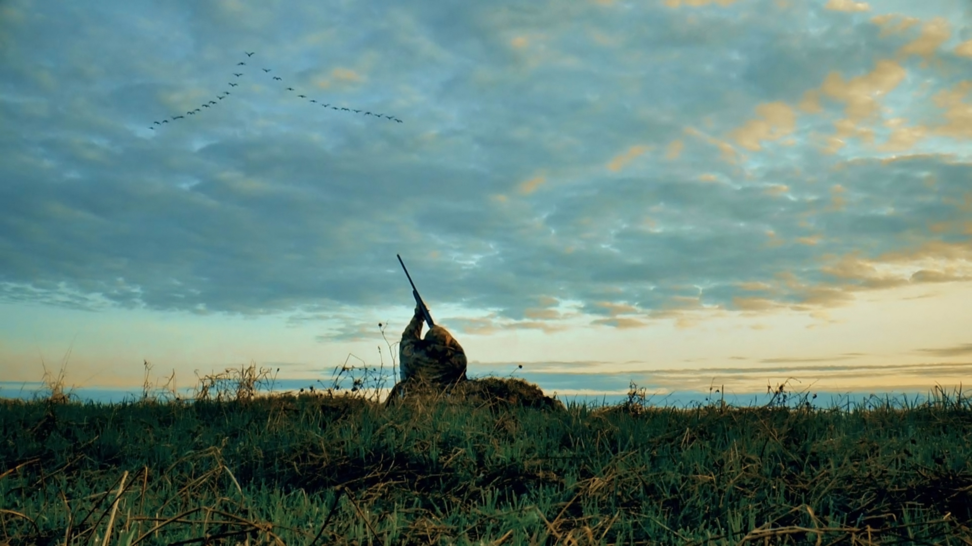 Охота по перу. Утка. Осень в Рязанской области