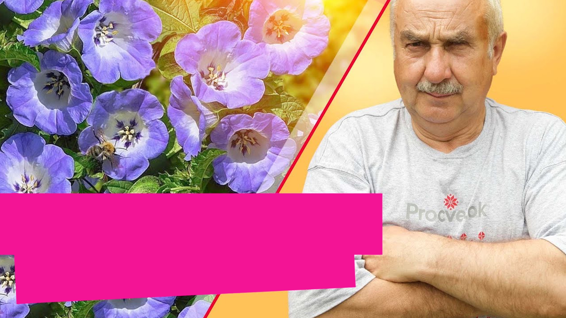 Что посадить, чтобы белокрылка облетала огород стороной