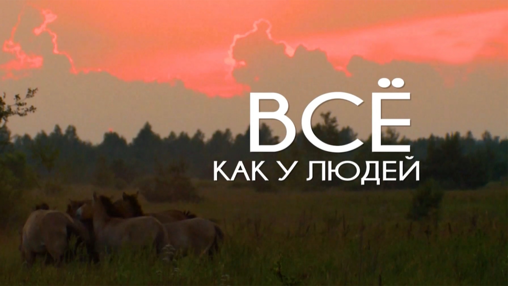 Все как у людей