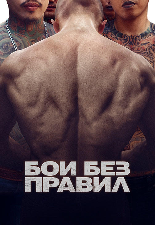 Постер к фильму Бои без правил 2017