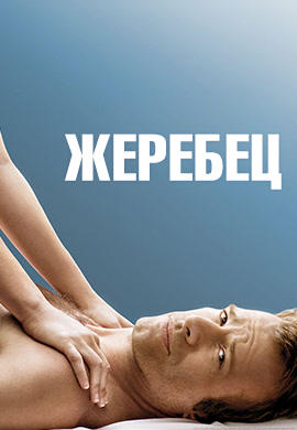 Постер к сериалу Жеребец. Сезон 2 2010