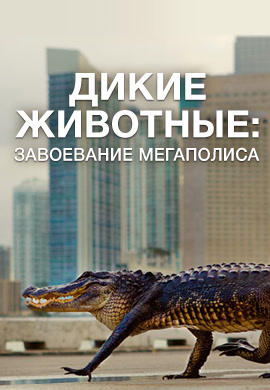 Постер к сериалу Дикие животные: завоевание мегаполиса 2018