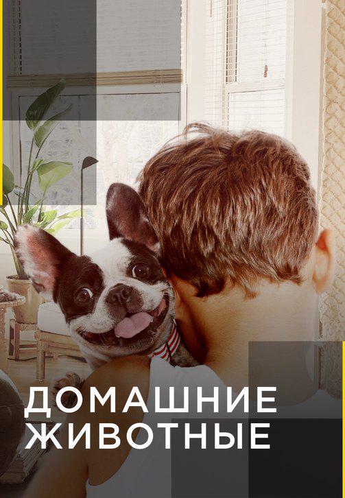 Постер к сериалу Домашние животные 2012