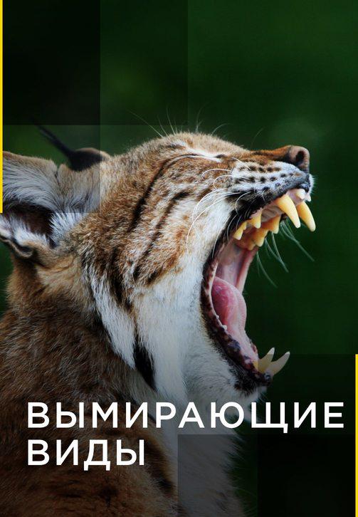 Постер к сериалу Вымирающие виды 2016
