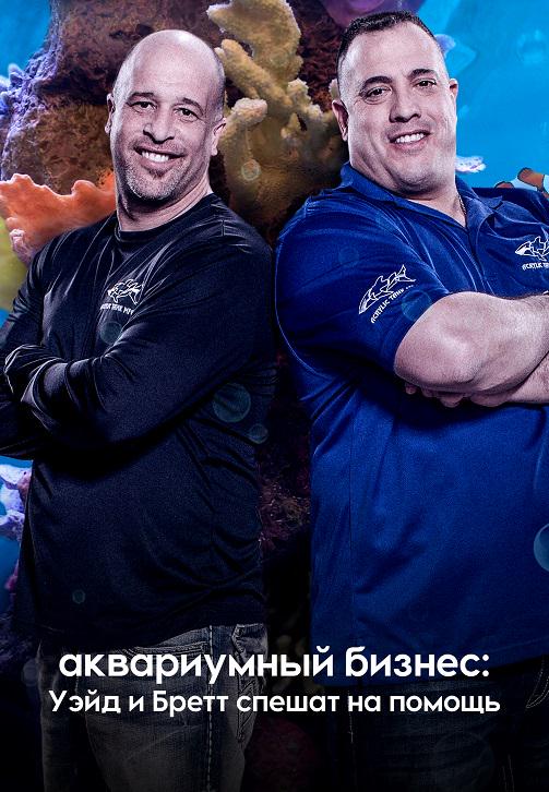 Постер к фильму Аквариумный бизнес: Уэйд и Бретт спешат на помощь 2018