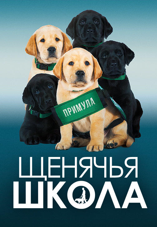 Постер к фильму Щенячья школа 2018