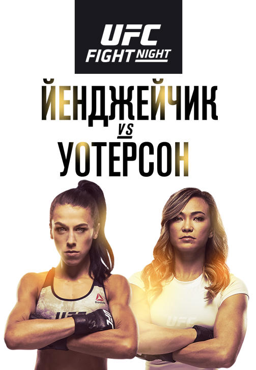 Постер к сериалу Йоанна Йенджейчик vs Мишель Уотерсон 2019