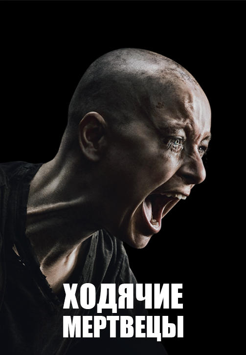 Постер к сериалу Ходячие мертвецы. Сезон 10 2019