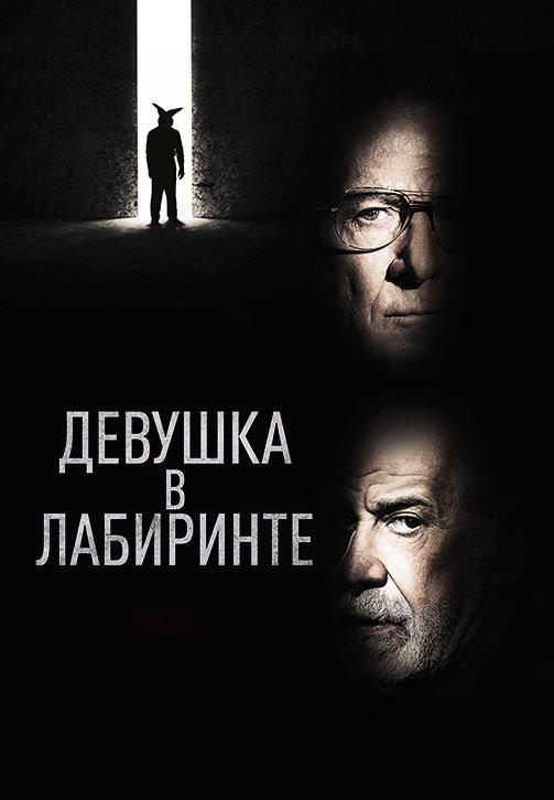 Постер к фильму Девушка в лабиринте 2019