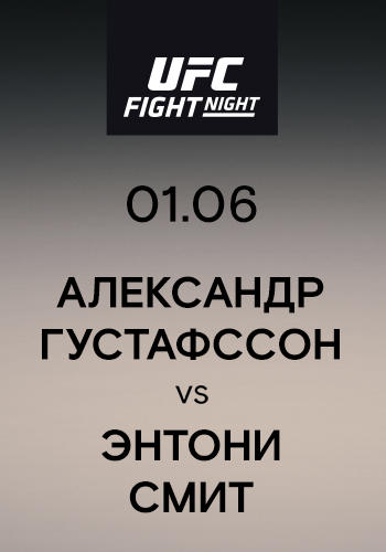 Постер к сериалу Александр Густафссон vs Энтони Смит 2019